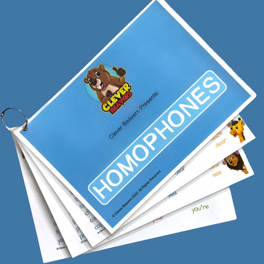 Homophones Cards